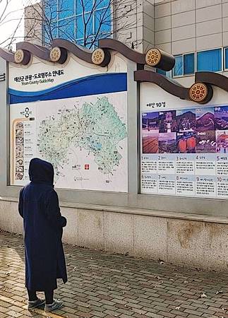 한국에 있는 유.jpg 한국에 있는 유.jpg