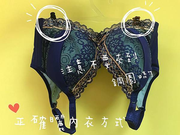 S__4915253.jpg S__4915253.jpg