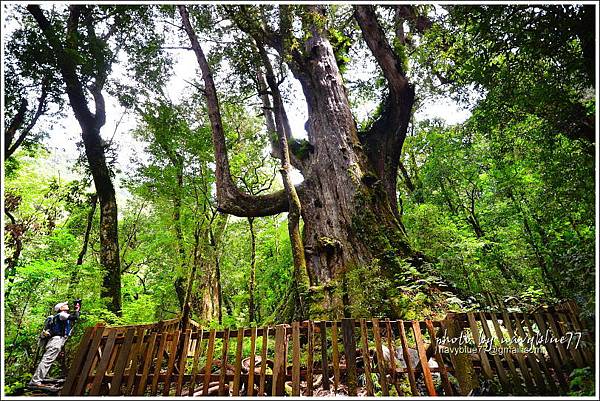 1471365306-3636508750.jpg 1471365306-3636508750.jpg