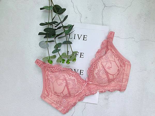 IMG_1277.JPG IMG_1277.JPG