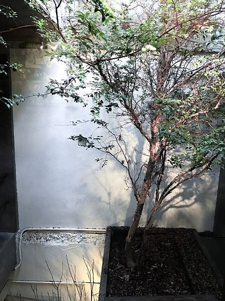 IMG_7943.jpg IMG_7943.jpg