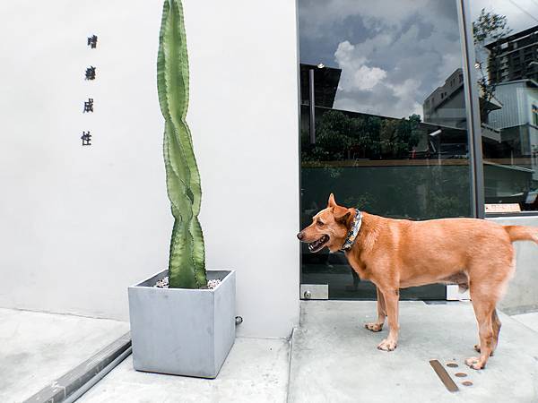 IMG_7834.jpg IMG_7834.jpg