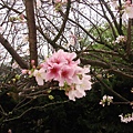 DSC01021_调整大小.JPG