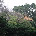 DSC01028_调整大小.JPG