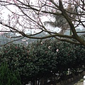 DSC01031_调整大小.JPG