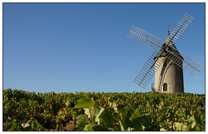 Moulin a Vent.jpg Moulin a Vent.jpg