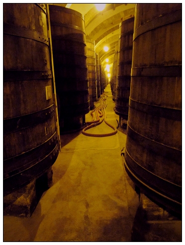 Florio酒窖1.jpg Florio酒窖1.jpg