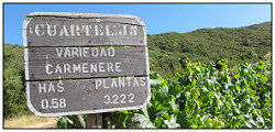 IMG_8688 IMG_8688