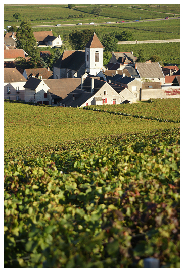 Clos de Tart 4