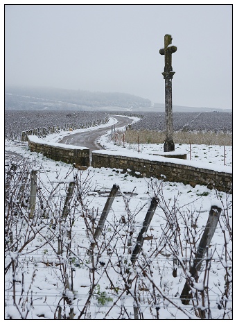 Romanee Conti Romanee Conti