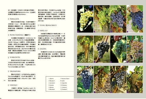 grape.jpg grape.jpg