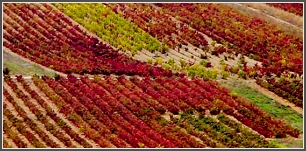 Autum.jpg Autum.jpg