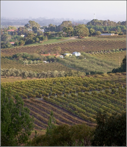 McLaren Vale.jpg McLaren Vale.jpg