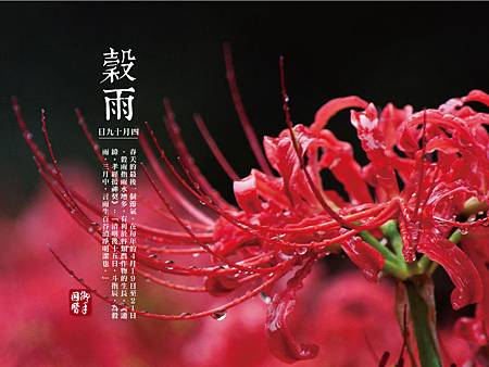 穀雨.jpg 穀雨.jpg
