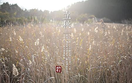 立秋.jpg 立秋.jpg