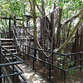 Anping_Tree_House_Skyway_2015.jpg