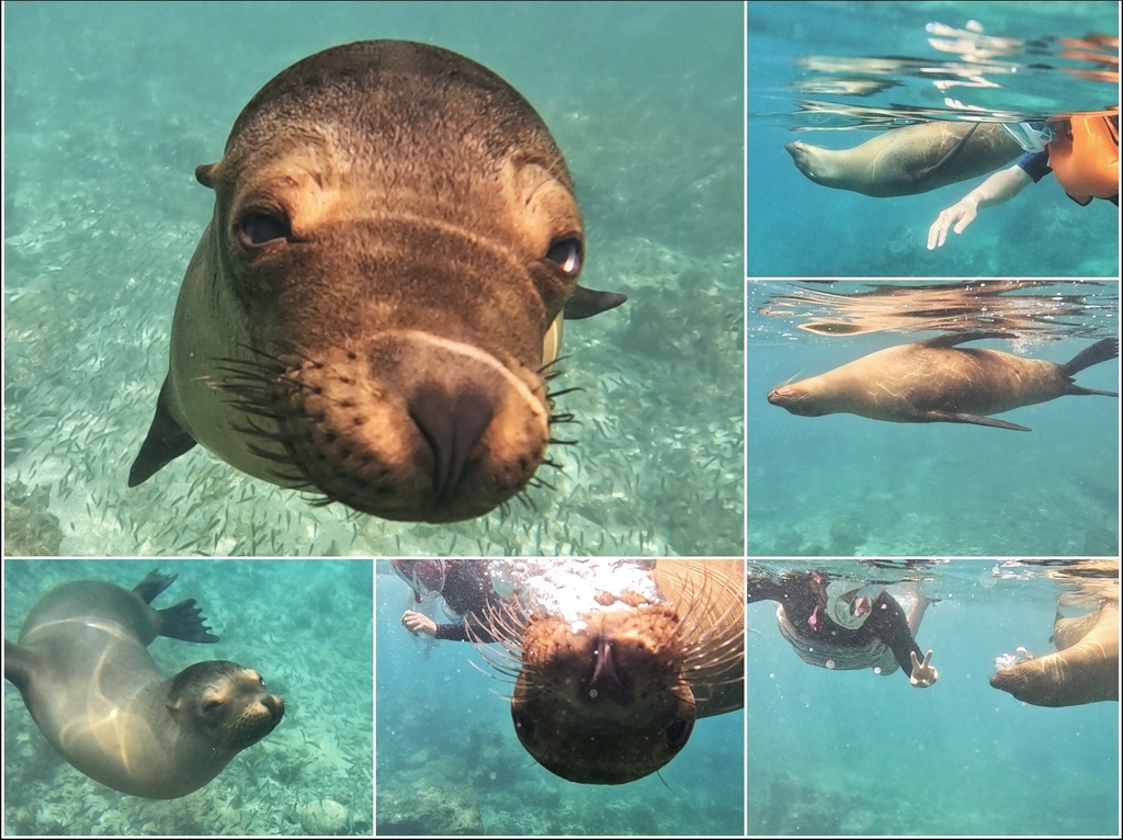 加拉巴哥群島Galapagos Islands -  San