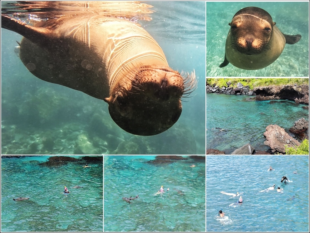 加拉巴哥群島Galapagos Islands -  San