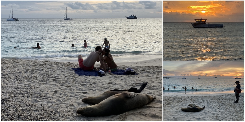 加拉巴哥群島Galapagos Islands -  San