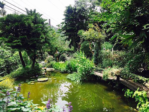 36952485_1987098374641699_7580137628377284608_n.jpg 36952485_1987098374641699_7580137628377284608_n.jpg