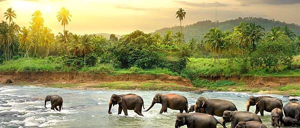 srilanka.original.jpg srilanka.original.jpg