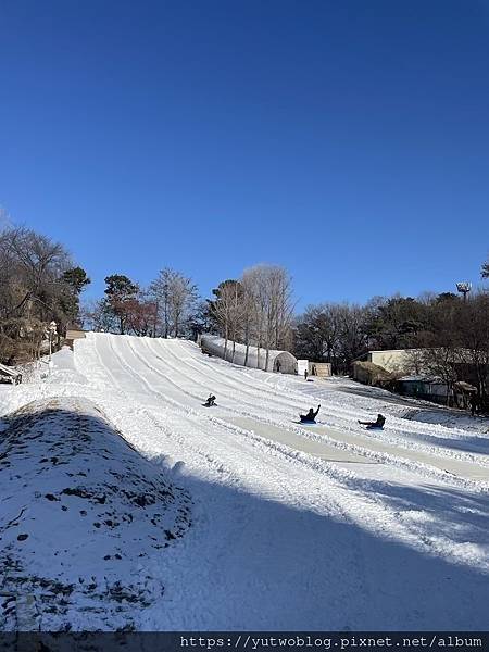 〔韓國｜首爾〕冬天首爾市區必玩滑雪橇場介紹｜讓你玩雪玩到忘記