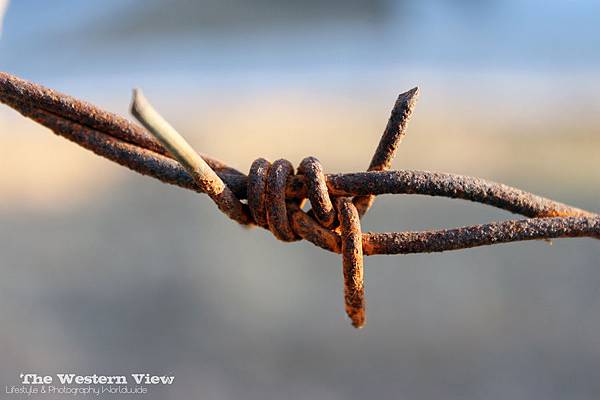 Twist Barbwire