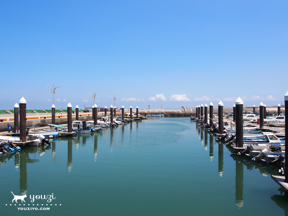 桃園竹圍生態帶逛遊 大園陸海空一日小旅行 - 第1張圖 P8046022.jpg