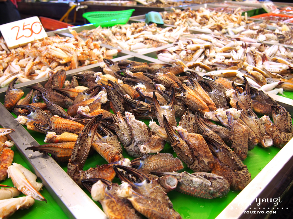 桃園竹圍生態帶逛遊 大園陸海空一日小旅行 - 第6張圖 P8045889.jpg