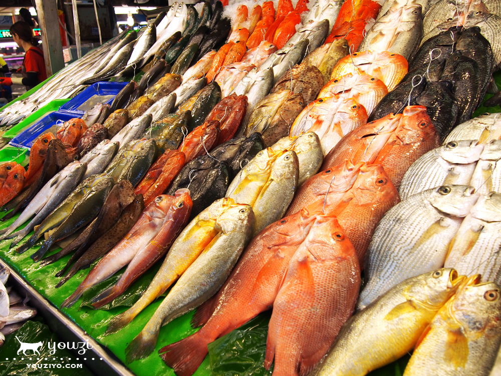 桃園竹圍生態帶逛遊 大園陸海空一日小旅行 - 第5張圖 P8045895.jpg