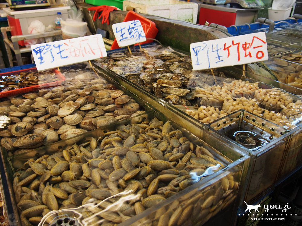 桃園竹圍生態帶逛遊 大園陸海空一日小旅行 - 第7張圖 P8045897.jpg