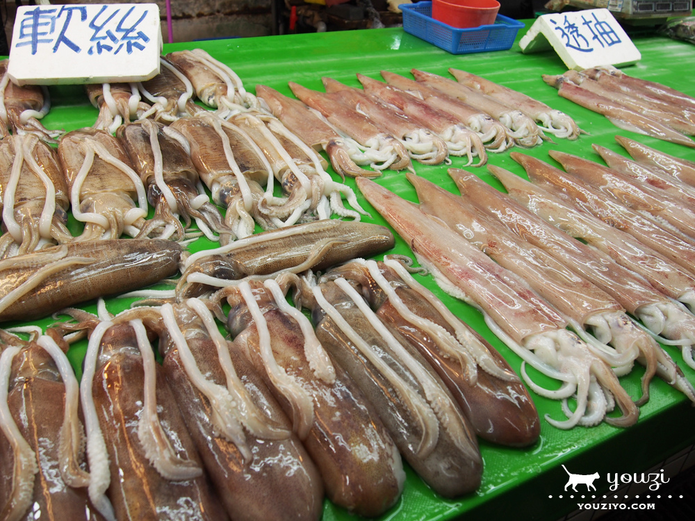 桃園竹圍生態帶逛遊 大園陸海空一日小旅行 - 第8張圖 P8045948.jpg