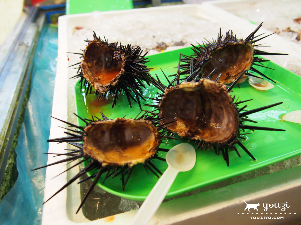 桃園竹圍生態帶逛遊 大園陸海空一日小旅行 - 第9張圖 P8045950.jpg