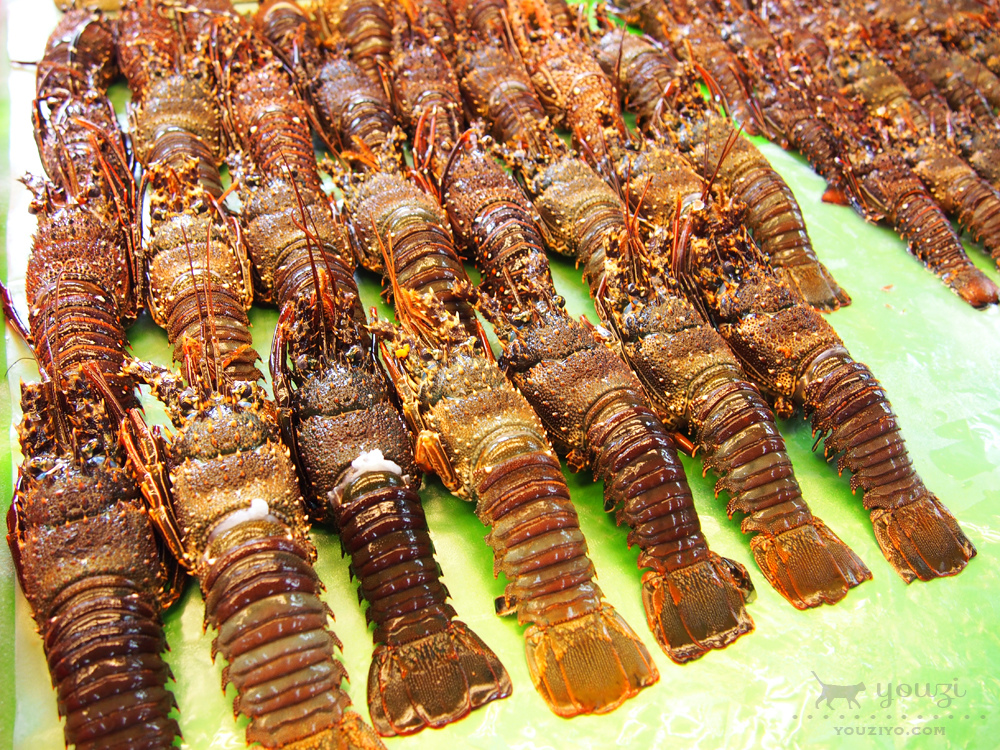 桃園竹圍生態帶逛遊 大園陸海空一日小旅行 - 第10張圖 P8045953.jpg