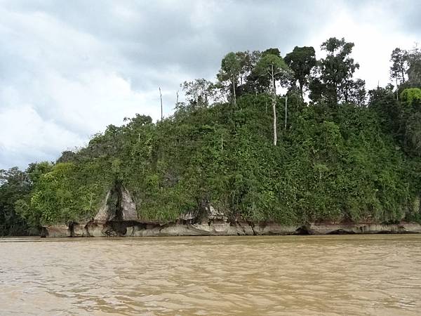 Sukau to Abai by boat 030.JPG