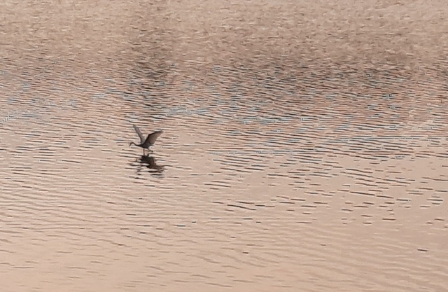 20211107_080104.jpg - 部