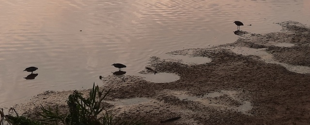 20211107_080206.jpg - 部