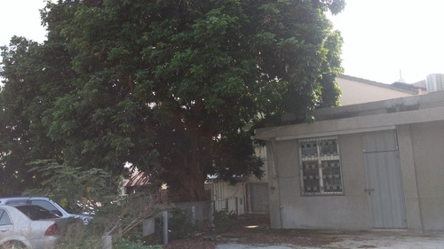 故鄉二林/3 故鄉二林/3