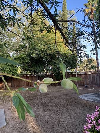 當繁花落褪去...