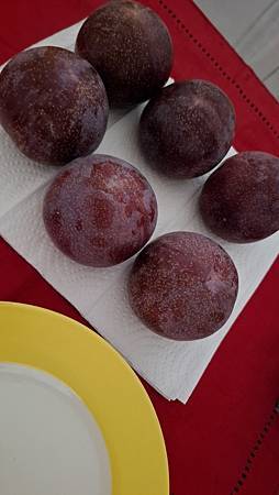 李子的笑想…..