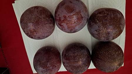 李子的笑想…..