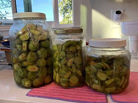 誰家做的桃仔青 誰家做的桃仔青