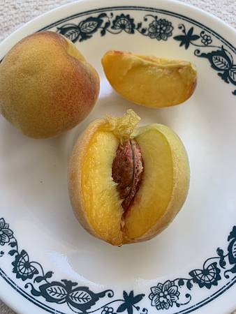 誰家做的桃仔青 誰家做的桃仔青