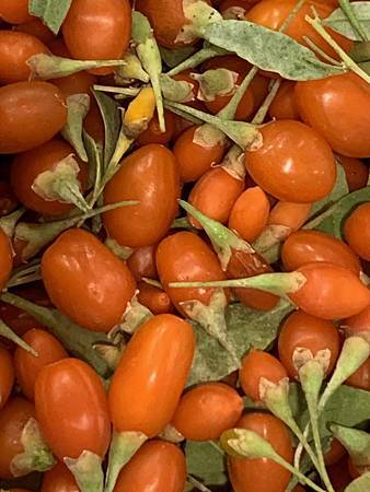 王老先生有塊地 王老先生有塊地