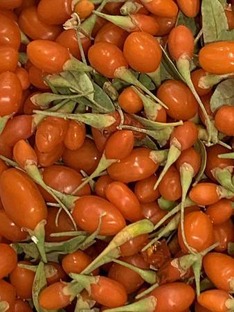 王老先生有塊地