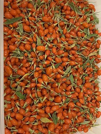 王老先生有塊地