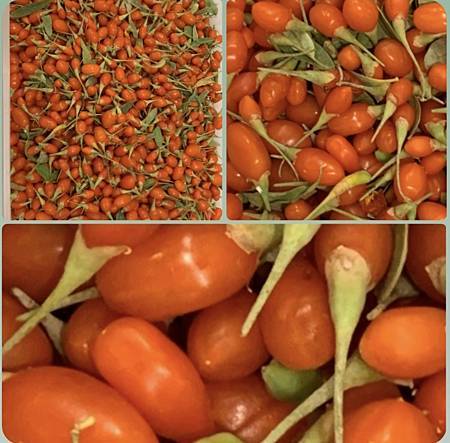 王老先生有塊地 王老先生有塊地