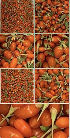 王老先生有塊地 王老先生有塊地