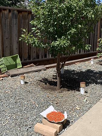 王老先生有塊地 王老先生有塊地