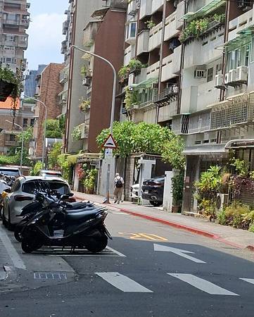 當繁花褪盡...還有緑葉在 當繁花褪盡...還有緑葉在